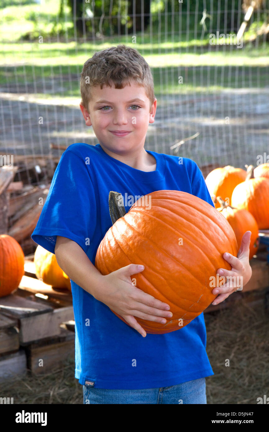 Bambino di otto anni la scelta di una zucca di Halloween vicino a Tampa, Florida, Stati Uniti d'America. Foto Stock