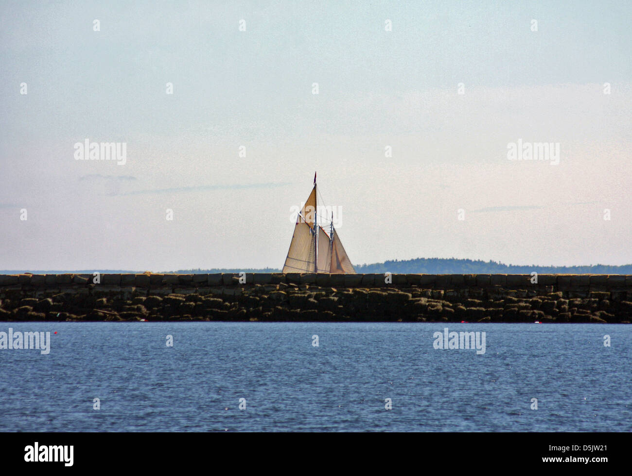 Un passeggero che trasportano schooner crociere lungo il Rockland frangiflutti a pieno la vela su un pomeriggio d'estate, Rockland Maine Foto Stock