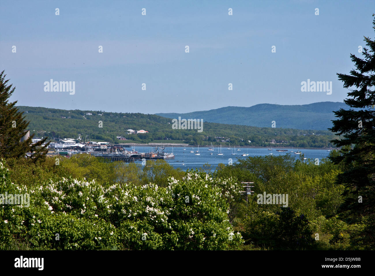 Rockland Harbor, Maine, estate, questa vista dalla scogliera Cantina Foto Stock