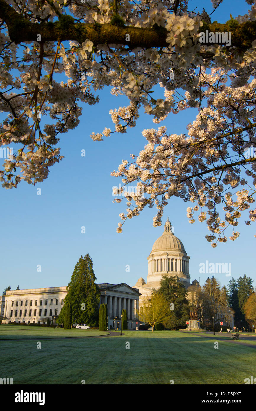 Washington State Capitol Building in Olympia. Foto Stock