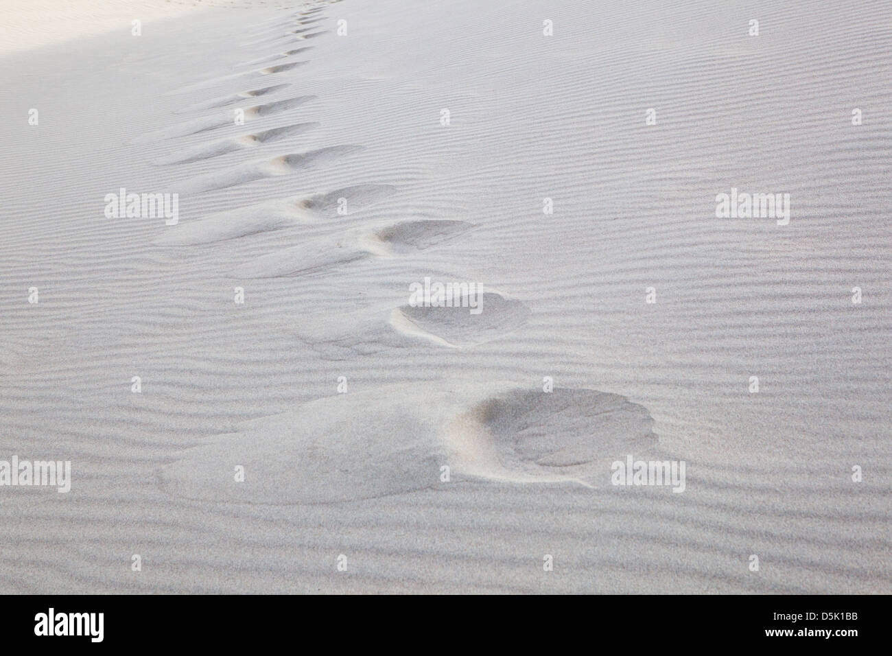 Dune di sabbia Death Valley, California Foto Stock