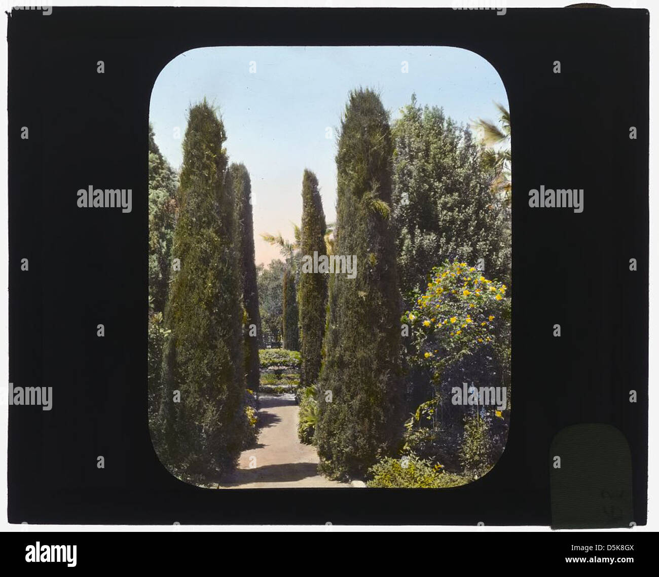 Una fotografia storica della casa di Robert Cameron Rogers a Glendessary Lane, Santa Barbara, California, che mostra la sua architettura, i cipressi italiani circostanti e il design del giardino. Foto Stock