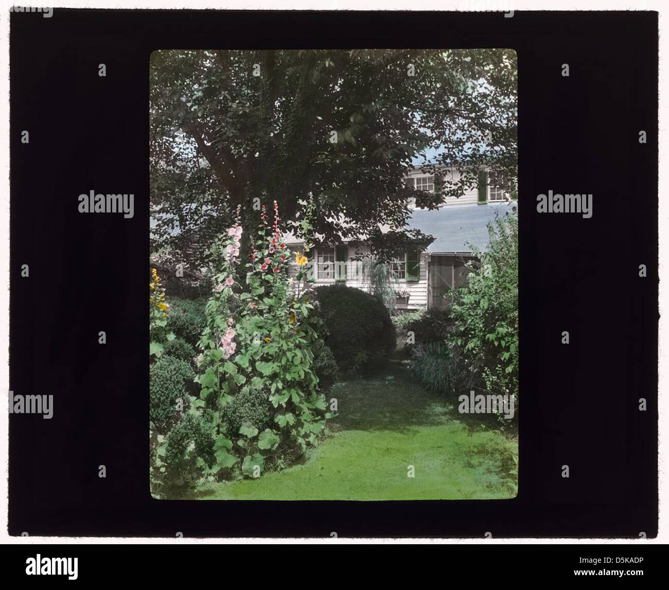 La casa di Mary Ball Washington, situata al 1200 di Charles Street a Fredericksburg, Virginia, è un sito storicamente significativo. Fu il luogo di nascita di Mary Ball Washington, madre di George Washington. Foto Stock