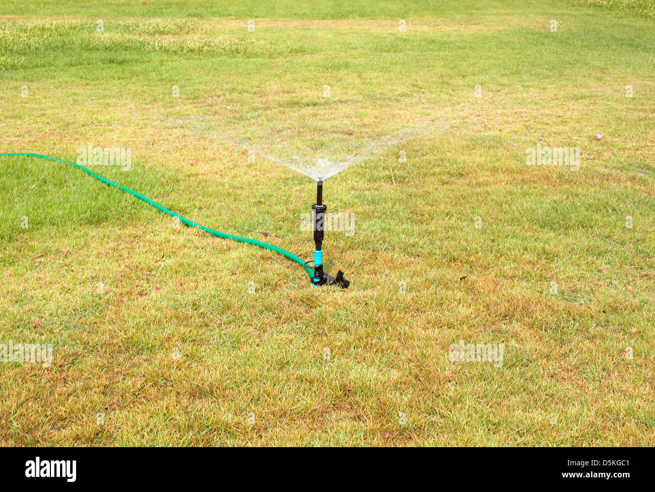 Soffione di erogazione dell'acqua. Sistema di irrigazione - tecnica di irrigazione nel giardino. Sprinkler prato la spruzzatura di acqua su erba verde. Foto Stock