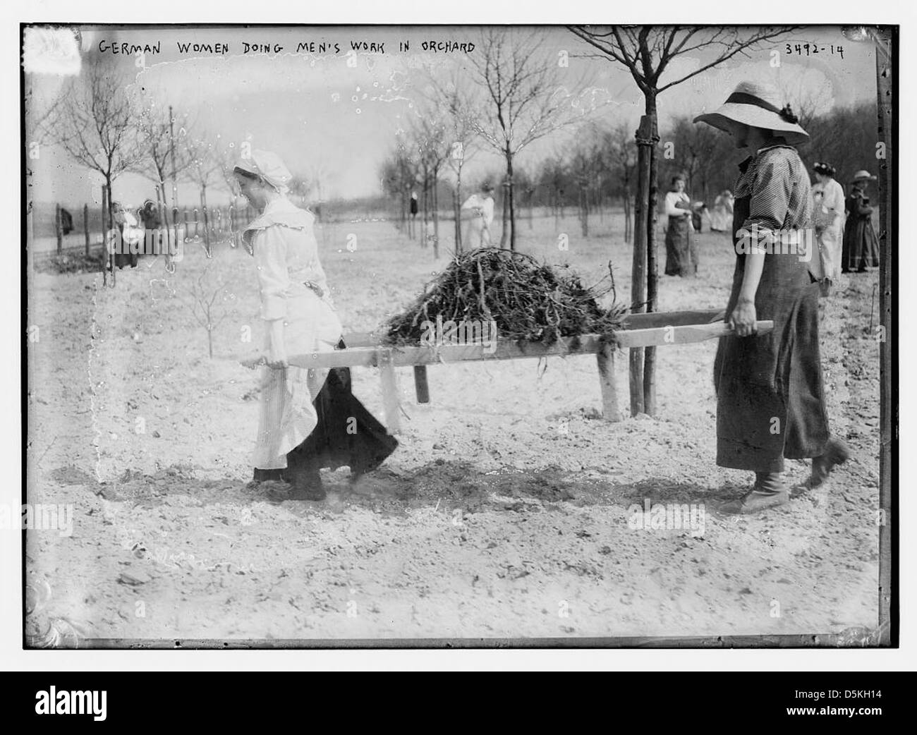 Tedesco donne uomini facendo il lavoro nel frutteto (LOC) Foto Stock