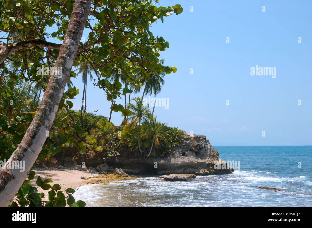 La spiaggia di Costa Rica, con la giungla di raggiungere la spiaggia, Playa Manzanillo. America centrale. Foto Stock