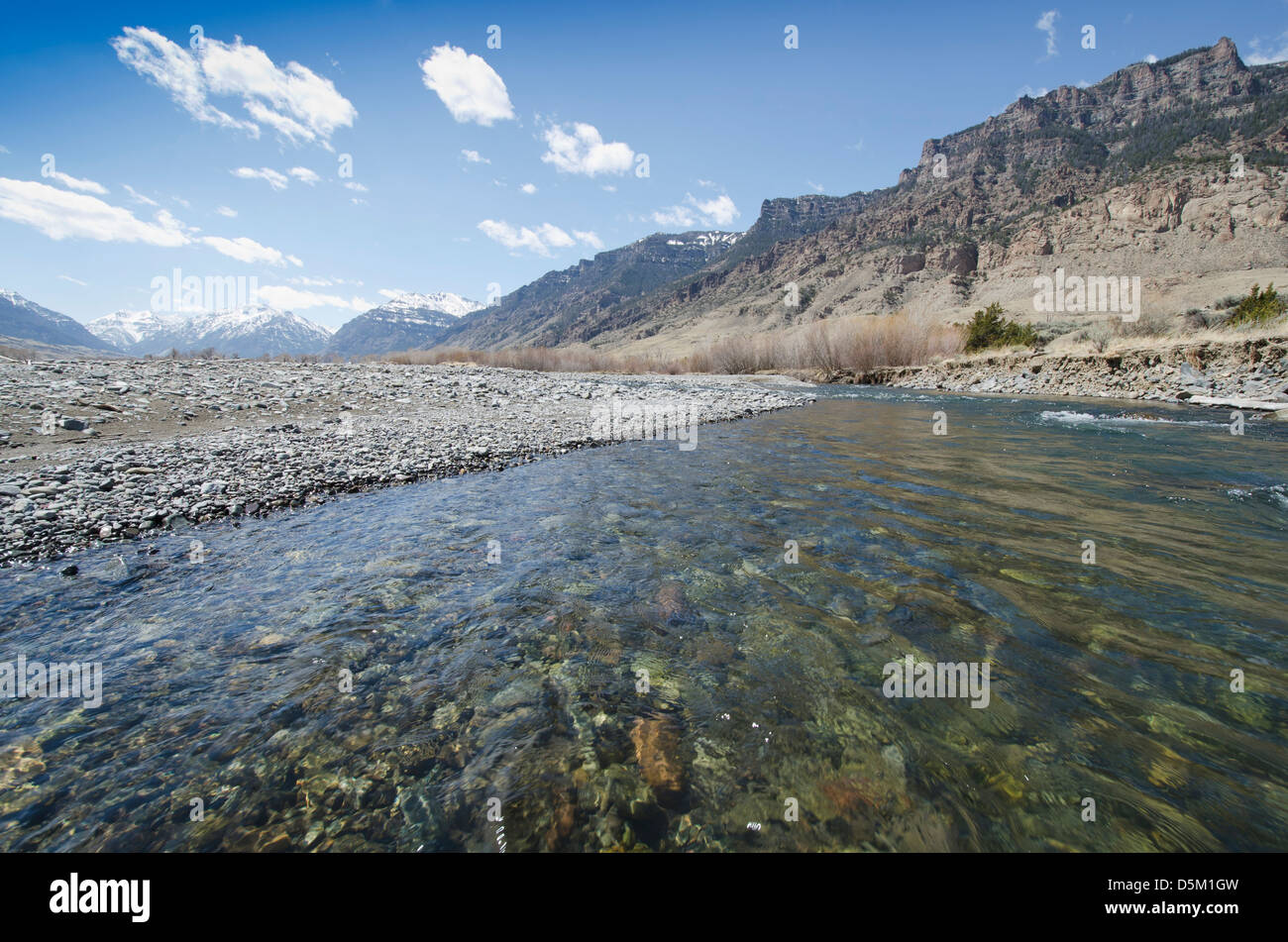 Stati Uniti d'America, Wyoming, vista del fiume Shoshone Foto Stock