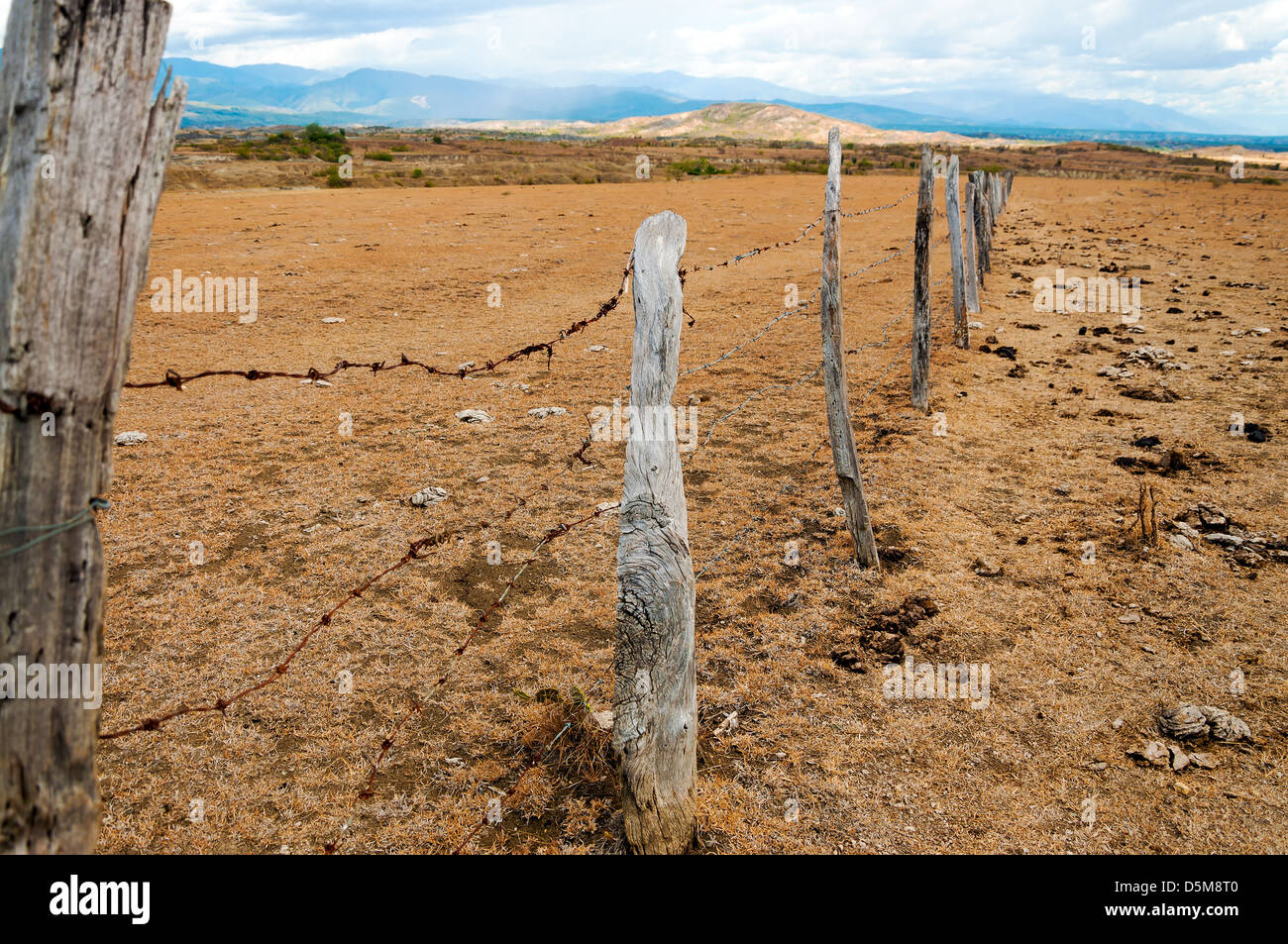 Vecchio weathered pali da recinzione a secco regione arida Foto Stock