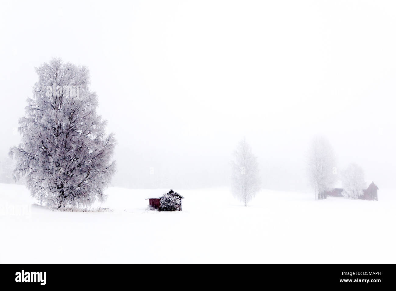Paesaggio invernale con il pupazzo di neve alberi e cespugli Foto Stock