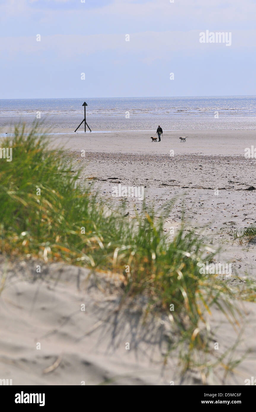 Vista della splendida spiaggia di sabbia West Wittering Blue Flag sulla costa meridionale del Regno Unito, Chichester, West Sussex, Inghilterra Foto Stock