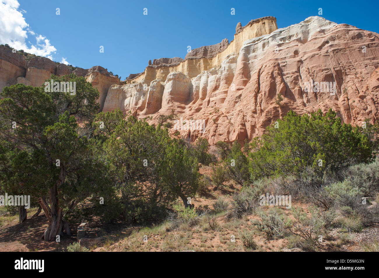 Echo Canyon, Carson National Forest in Southern Colorado Foto Stock