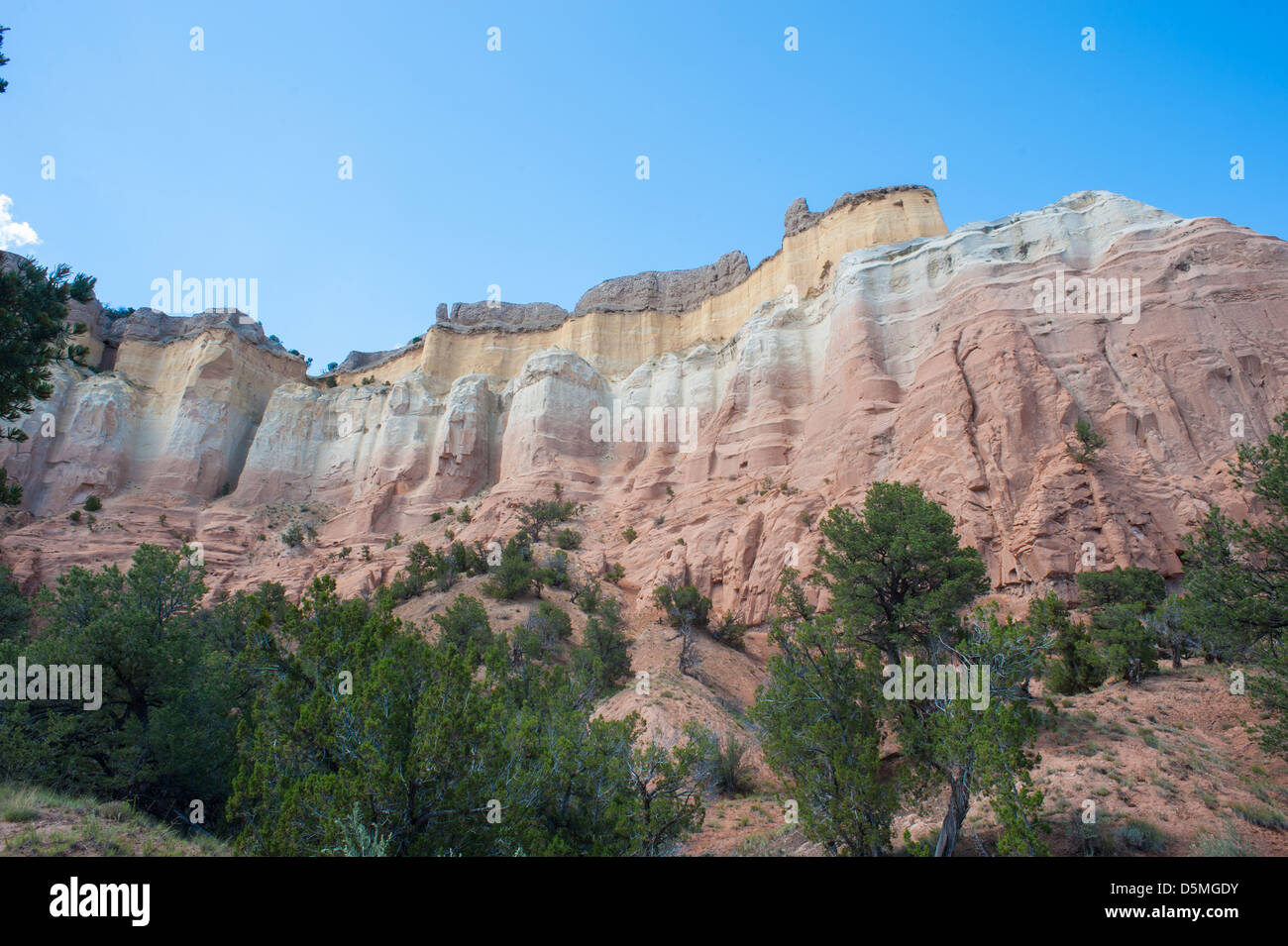 Echo Canyon, Carson National Forest in Southern Colorado Foto Stock