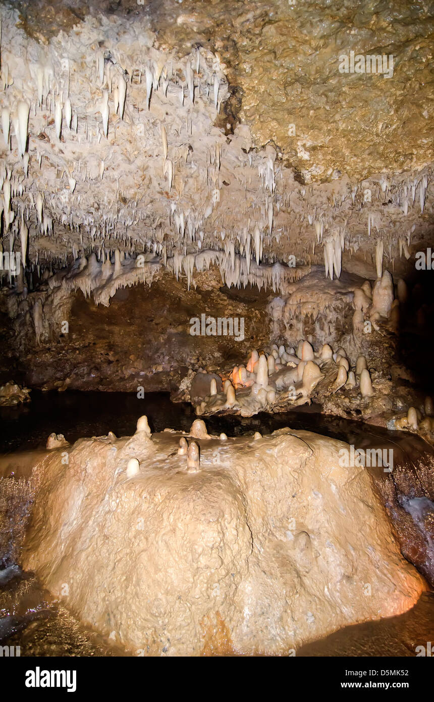 Calcare stalattiti e stalagmiti in Harrison Cave, Barbados Foto Stock
