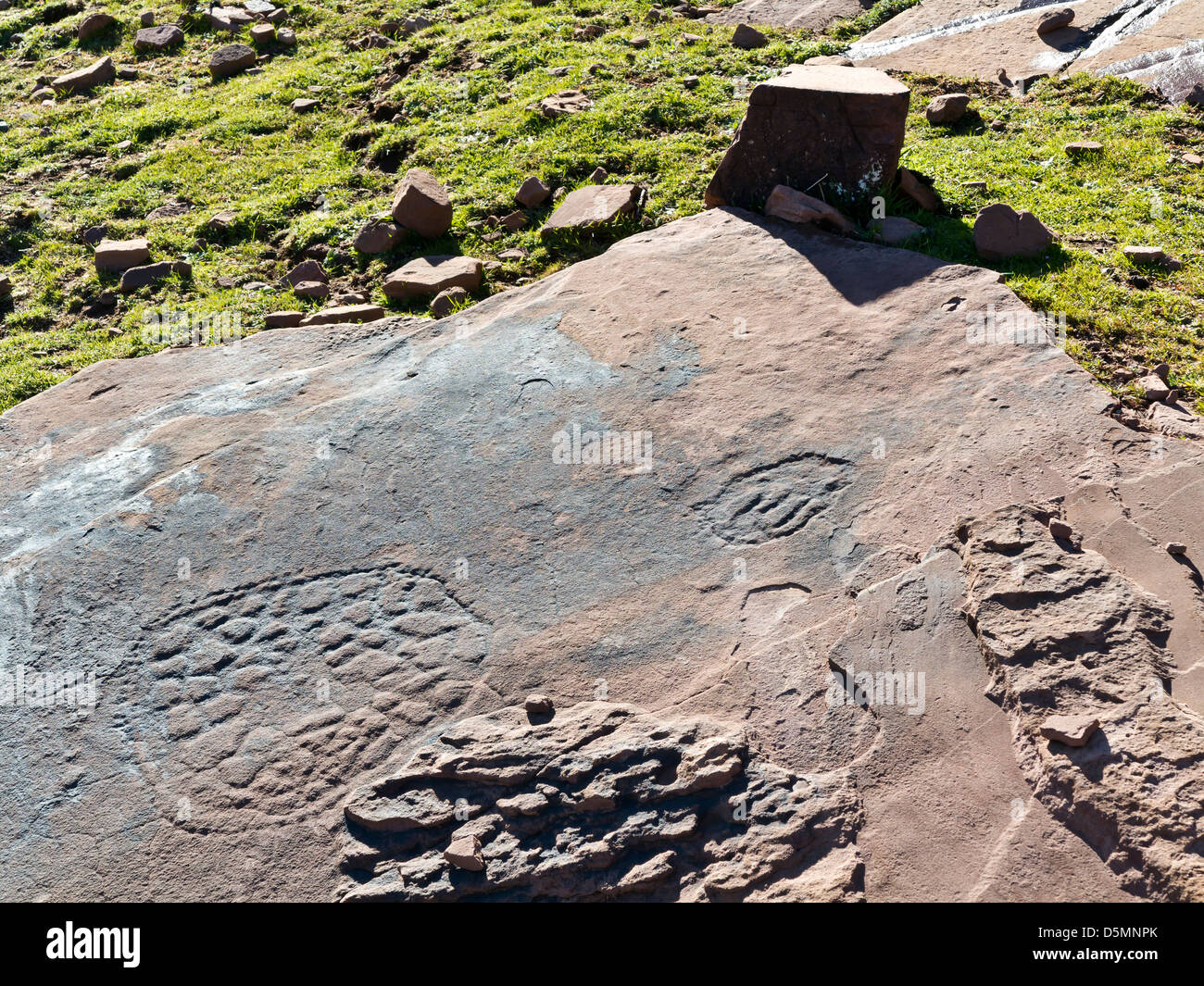 Preistoria le incisioni rupestri a Oukaimeden Ski Resort in Alto Atlante Marocco Foto Stock