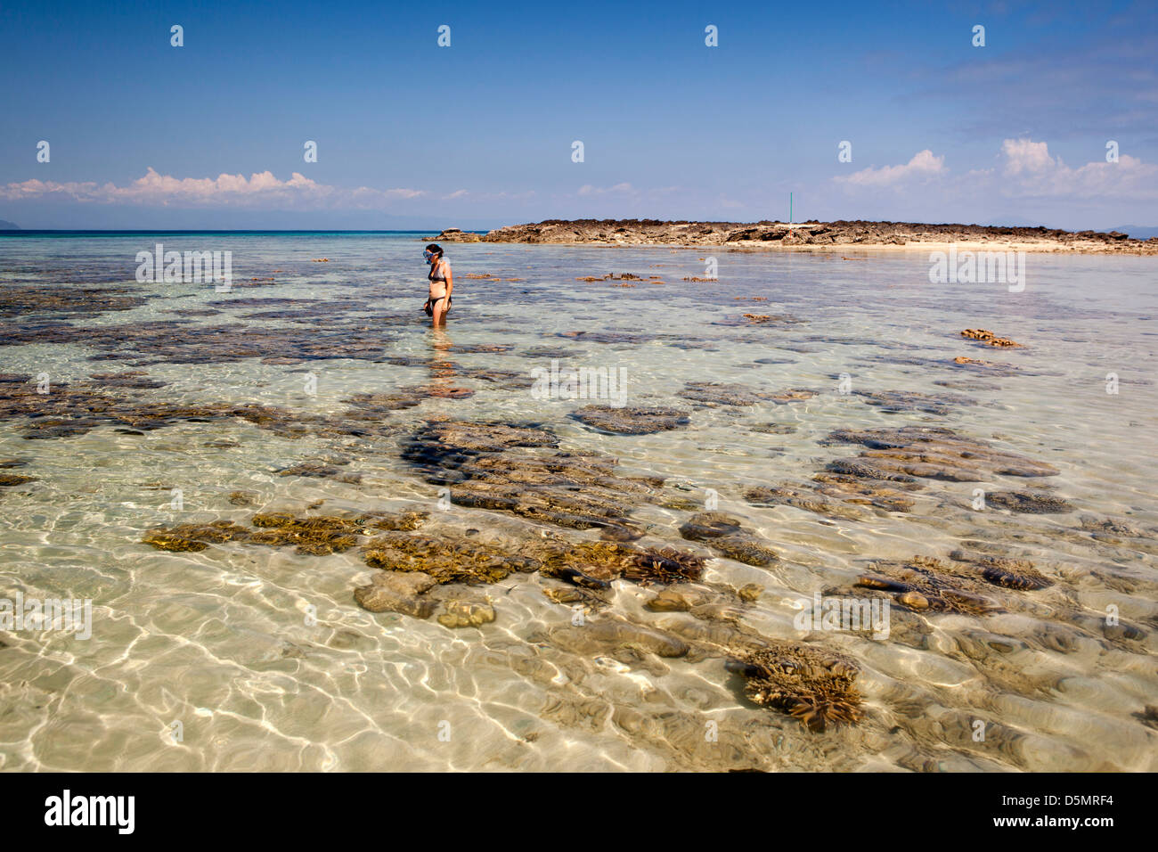Madagascar Nosy Be, Nosy Tanikely isola snorkeller tra le teste di corallo off spiaggia principale Foto Stock