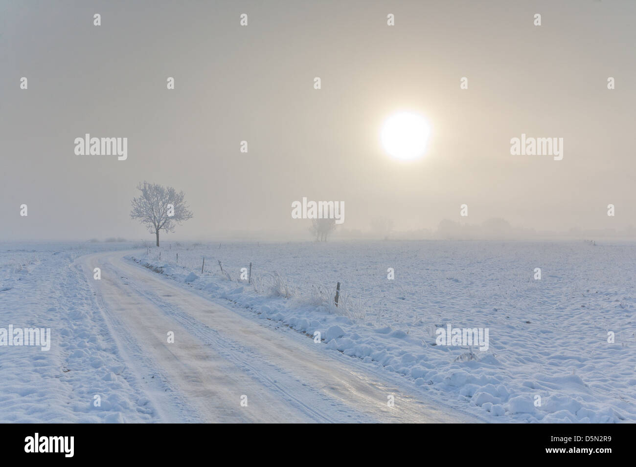 Paesaggio invernale con alberi neve avvolto dalla strada di terra e nebbioso sunrise Foto Stock