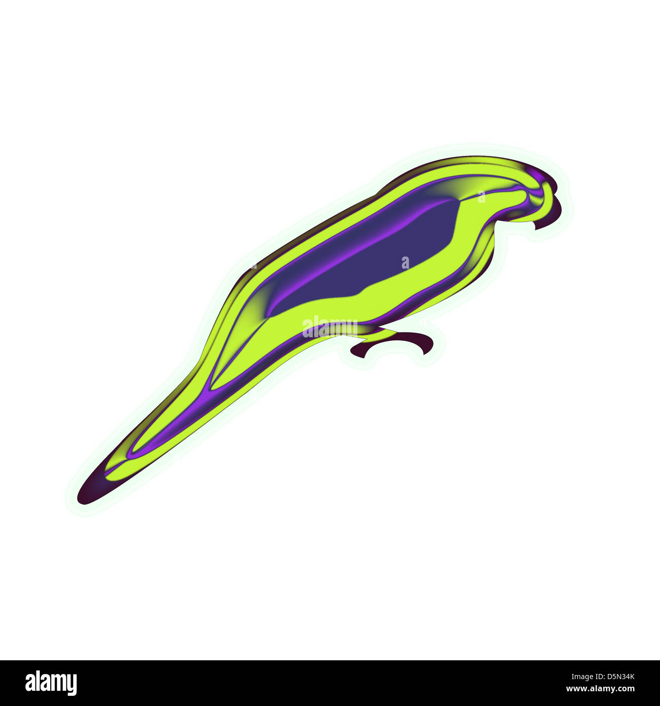 Lunga coda di parrot un pappagallo colorato piume Foto Stock