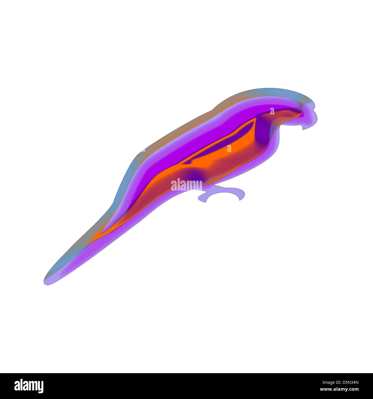 Lunga coda di parrot un pappagallo colorato piume Foto Stock