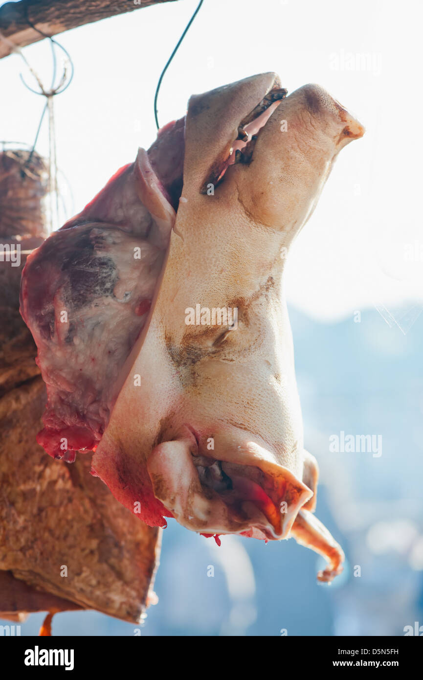 Morti testa di maiale close up Foto Stock