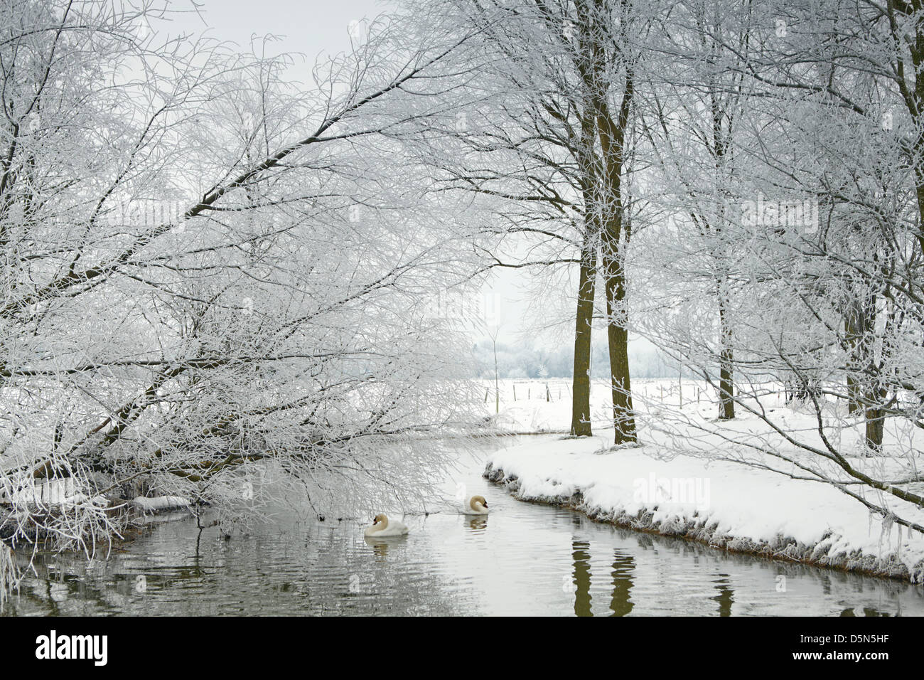 Il Waveney Fiume sulla Norfolk/Suffolk border in inverno Foto Stock