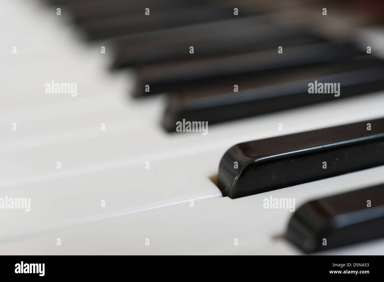 In prossimità di una fisarmonica a piano tastiera con il fuoco selettivo. Foto Stock