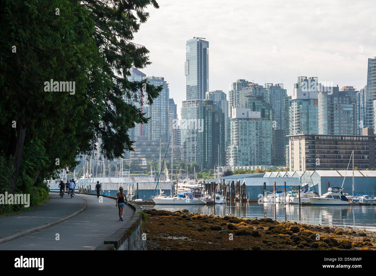 Seawall in Stanley Park. Vancouver Foto Stock