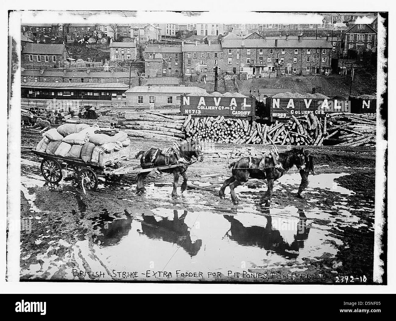 British strike - foraggi extra per pit pony, Pontypridd (LOC) Foto Stock