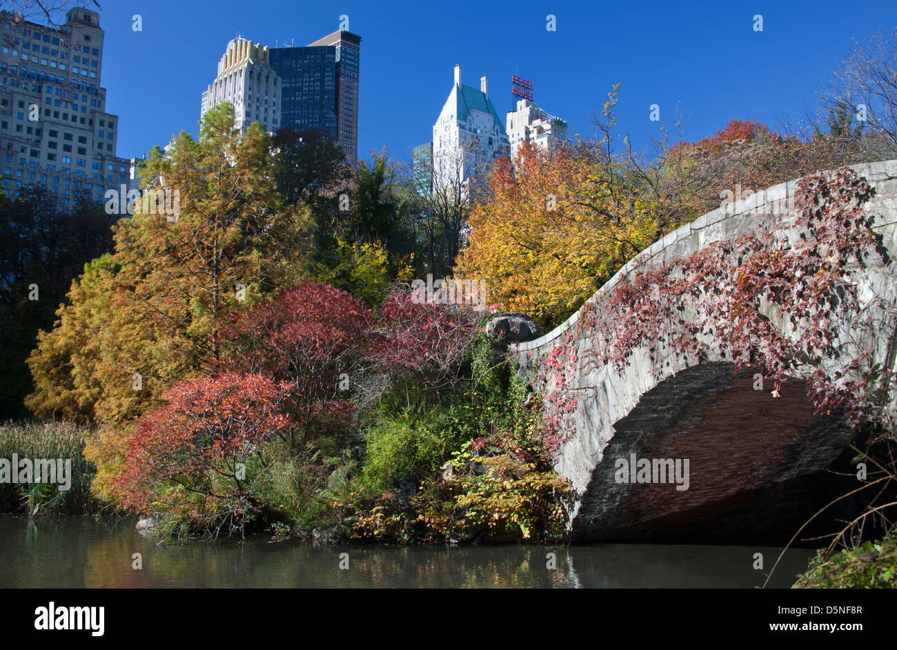 Caduta delle Foglie GAPSTOW BRIDGE POND CENTRAL PARK SOUTH MANHATTAN NEW YORK CITY USA Foto Stock