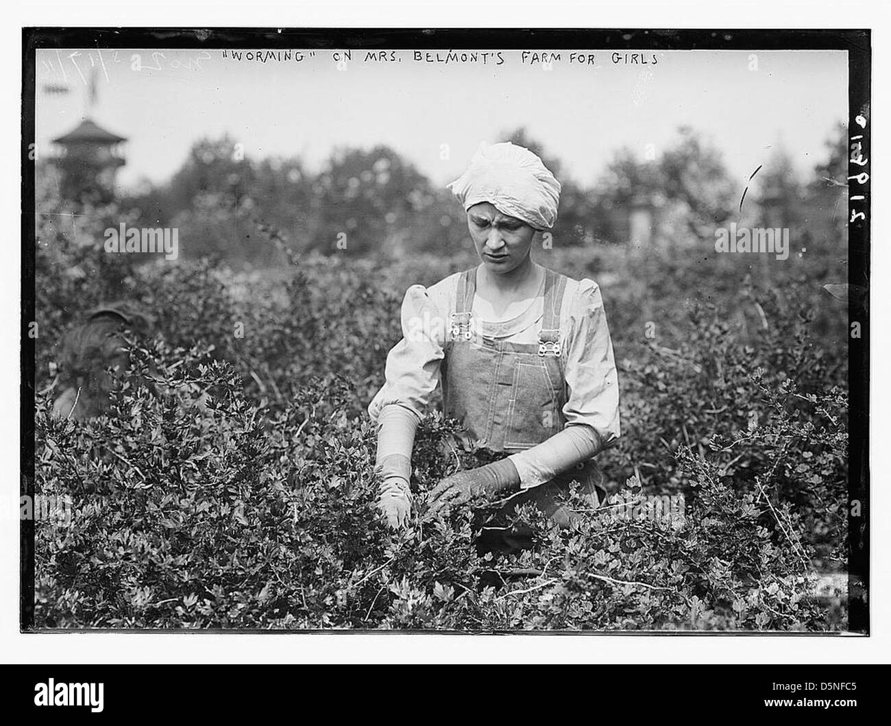 Una fotografia degli anni '1910 che mostra una donna che lavora alla Belmont Farm for Girls. L'immagine raffigura la vita quotidiana dei lavoratori agricoli, con particolare attenzione alla coltivazione dei campi agricoli e alle attività di giardinaggio. Foto Stock