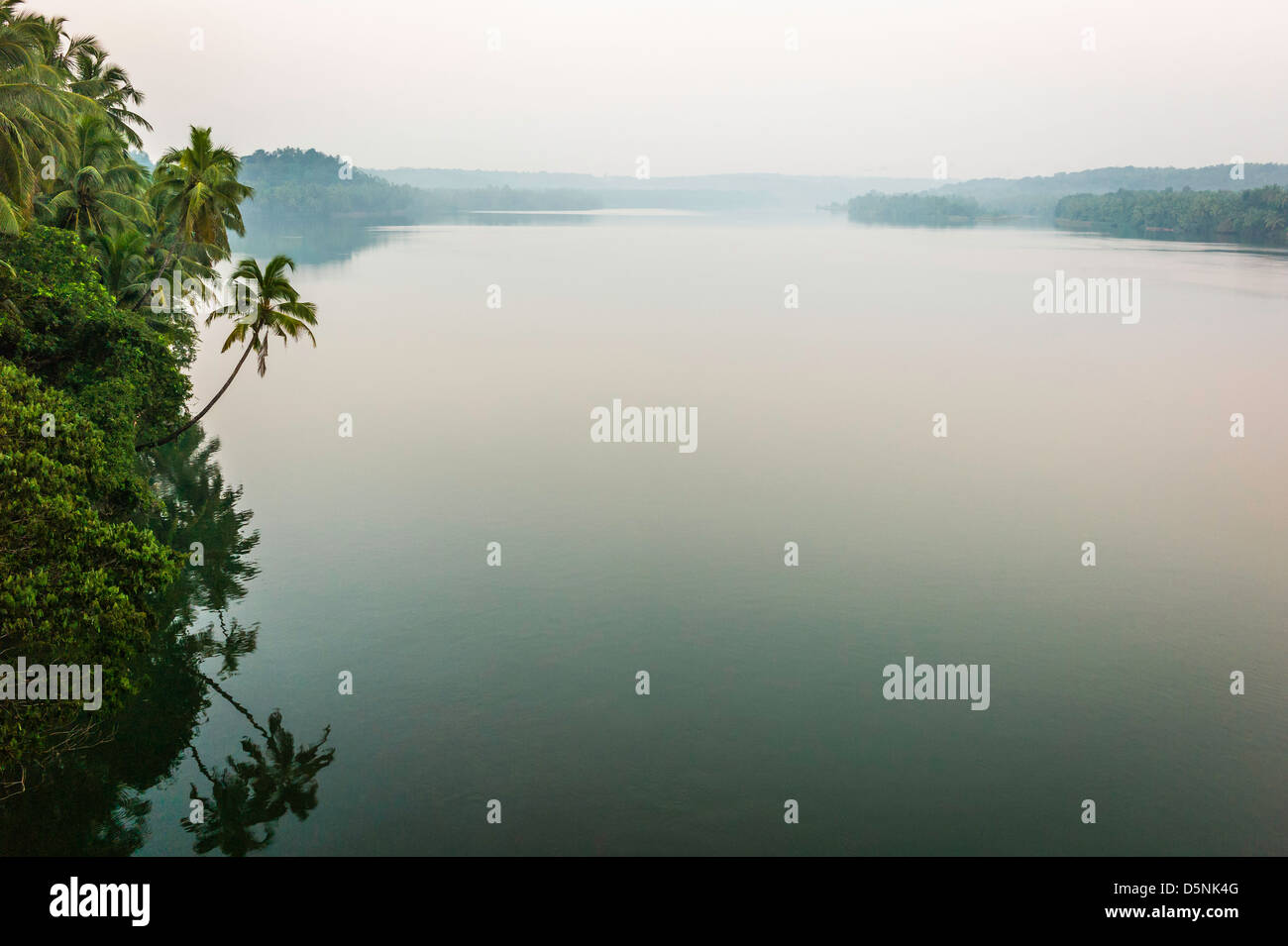 Tramonto sul fiume Valapattanam foderato con palme da cocco sulla ancora una sera vicino a Kannur, Kerala, India. Foto Stock