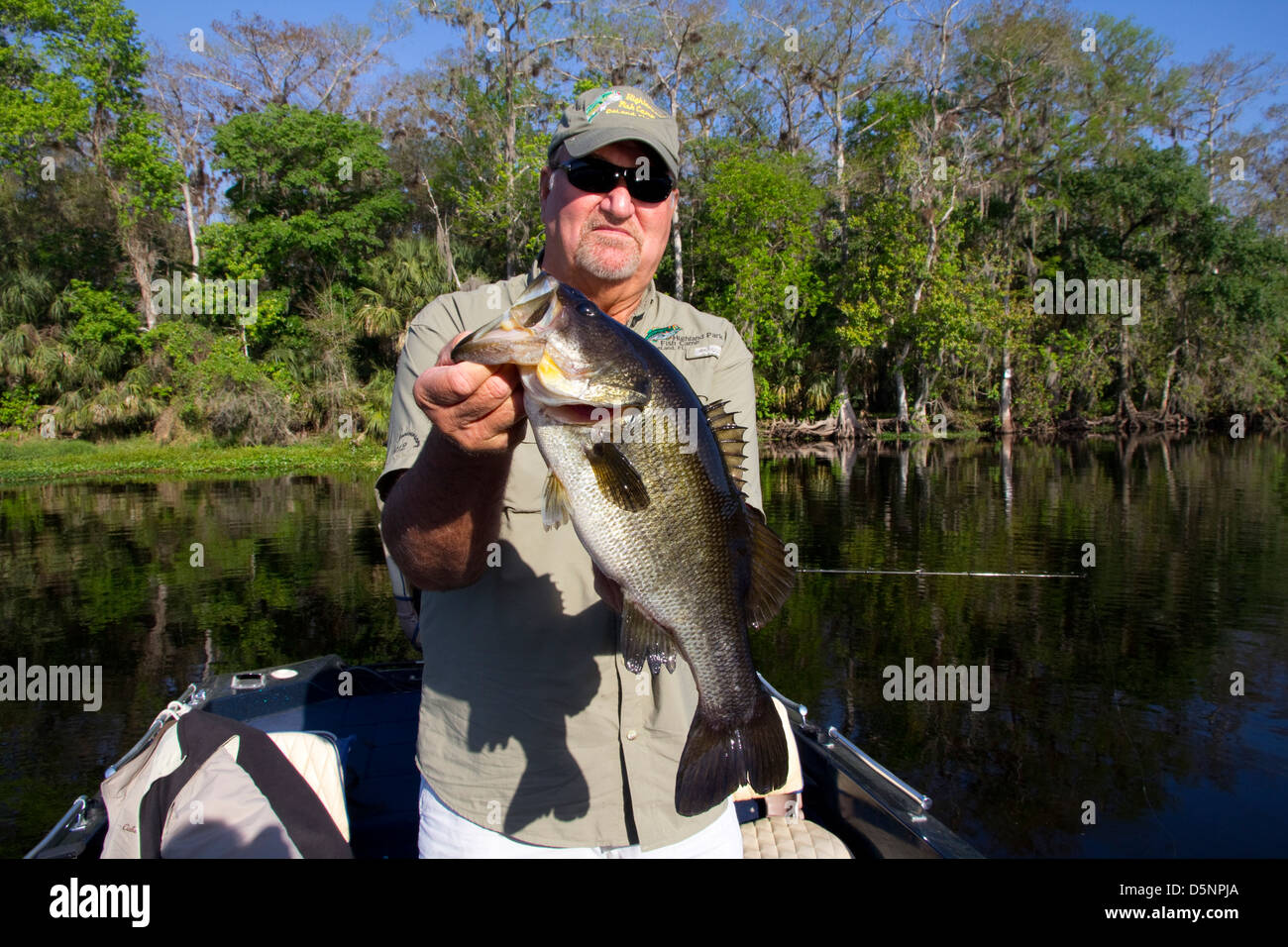 Ron Rawlins, proprietario di Highland Park Fish Camp, visualizza un LARGEMOUTH BASS, St. Johns River, vicino a Deland, FL Foto Stock