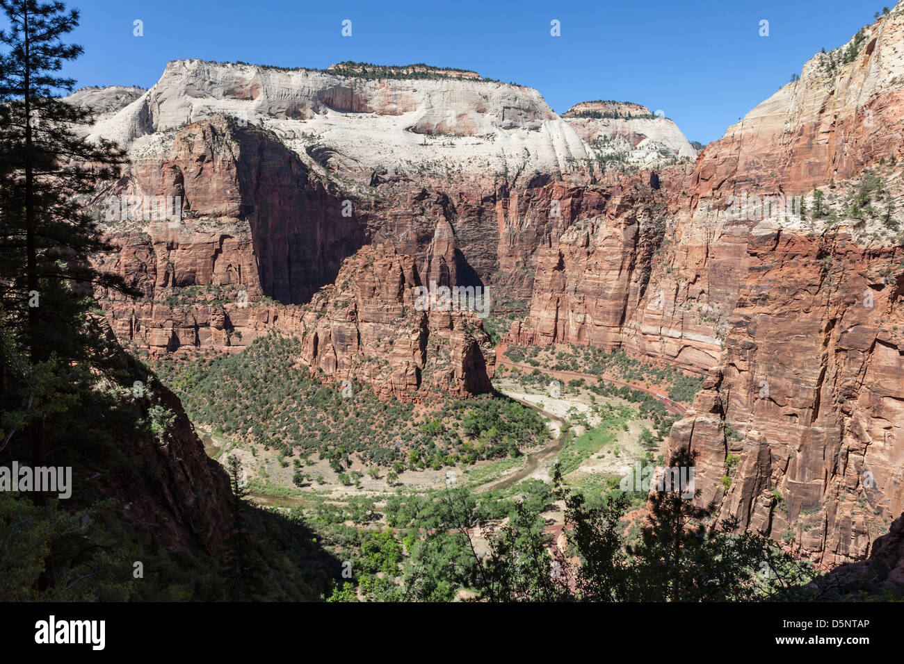 Zion National Park e il fiume vergine nel sud dello Utah. Foto Stock