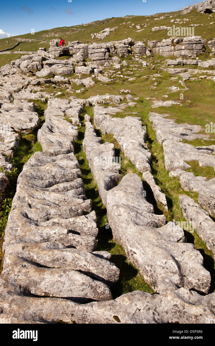 Regno Unito, Inghilterra, Yorkshire, Malham Cove, walker tra pavimentazione di pietra calcarea e clints grykes Foto Stock