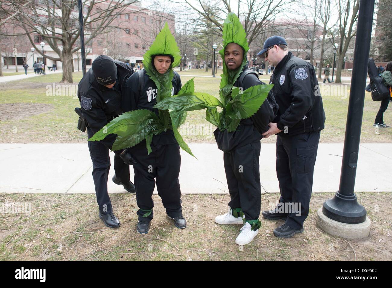 Ann Arbor, Michigan, Stati Uniti d'America, 6 Aprile, 2013. University of Michigan la polizia di trattenere due uomini vestiti come foglie di marijuana durante l'annuale quarantaduesima pro-legalizzazione della marijuana rally Hash Bash. (Immagine di credito: credito: Courtney Sacco/ZUMAPRESS.com/Alamy Live News) Foto Stock