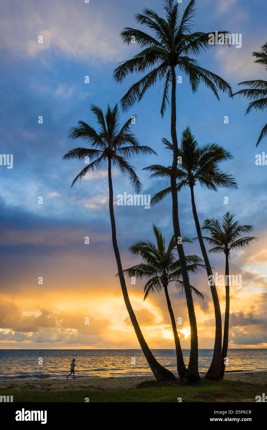 Donna jogging e palme di cocco presso sunrise; Punalu'u Beach Park, Windward Oahu, Hawaii. Foto Stock