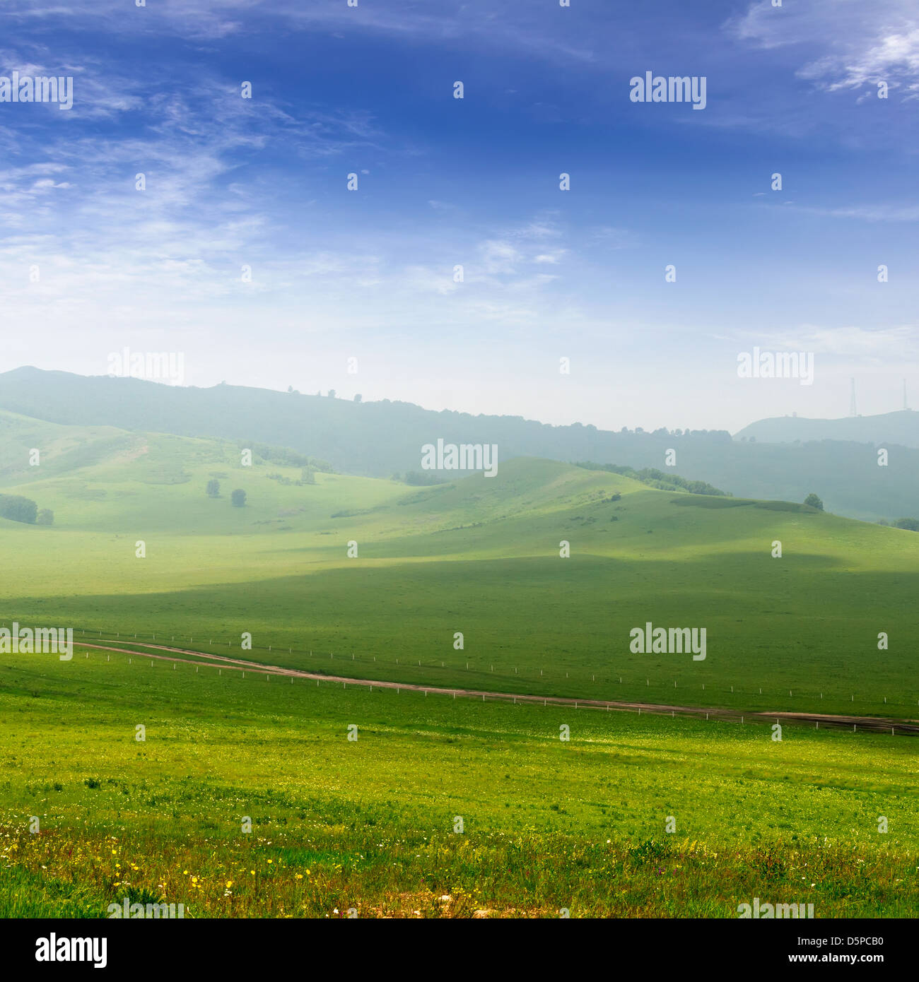 Campo su uno sfondo di cielo blu Foto Stock