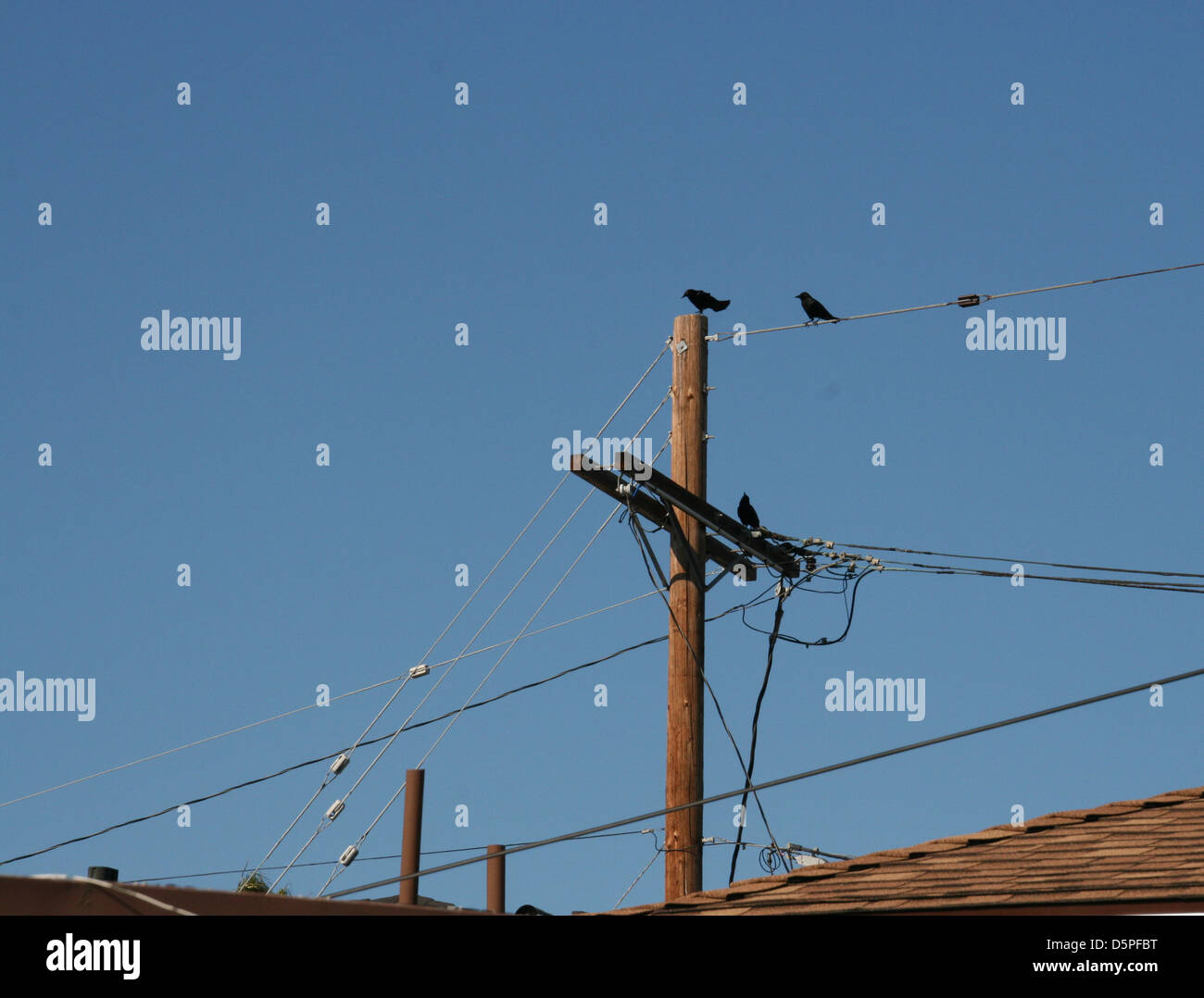 Il Disordine urbano e Crowsville Foto Stock