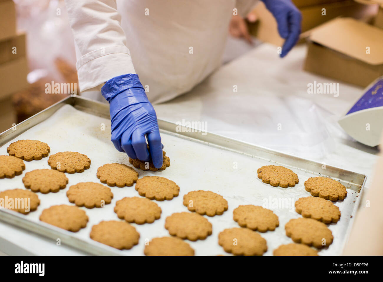 Fabbrica del biscotto Foto Stock