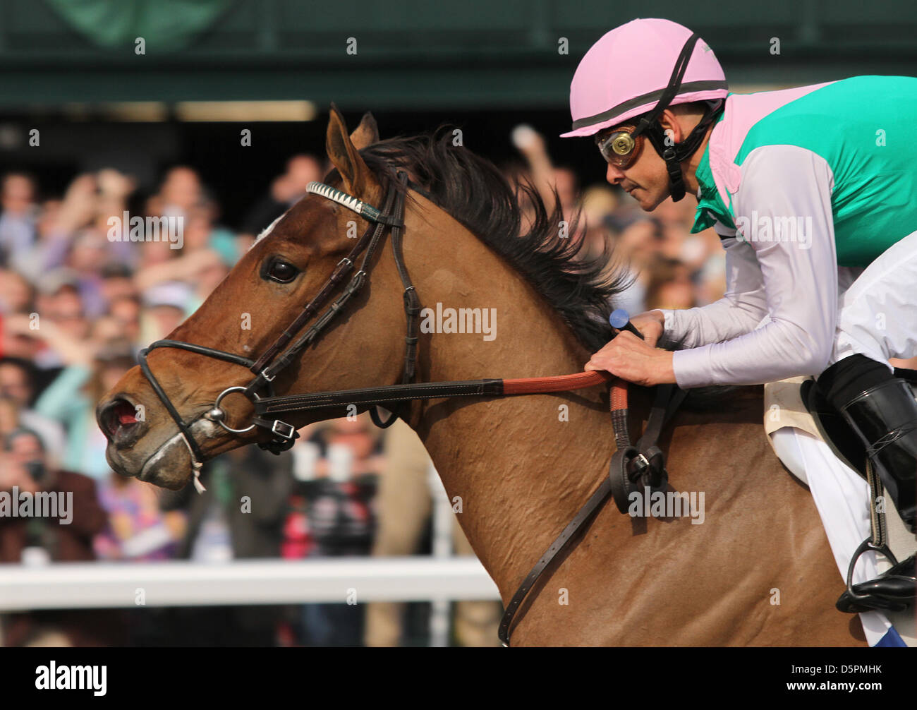 6 aprile 2013 - Lexington, Kentucky, Stati Uniti - Emolliente e Mike Smith vincere la 76th in funzione della Banca centrale Ashland Grado 1 $500.000 all Ippodromo Keeneland per proprietario Juddmonte fattorie e trainer William Mott. (Credito Immagine: © Candice Chavez/eclipse/ZUMAPRESS.com) Foto Stock