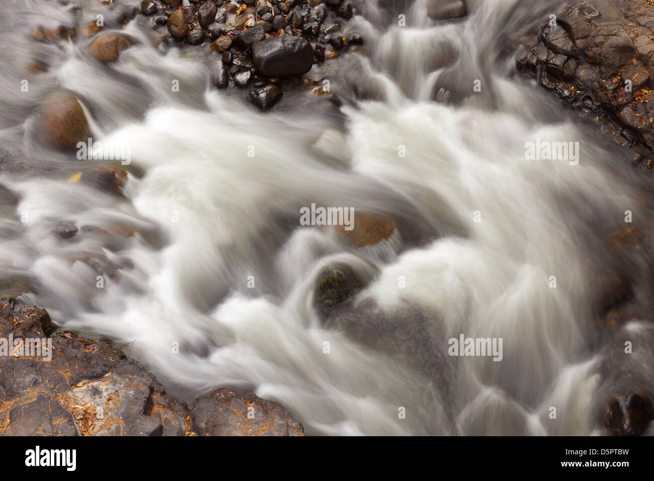 Lo streaming di acqua nel Rio Zarati, Cocle Affitto provincia, Repubblica di Panama. Foto Stock