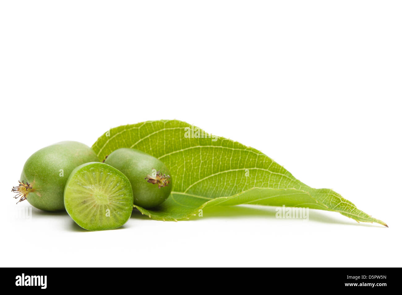 Kiwiberry con foglie Foto Stock