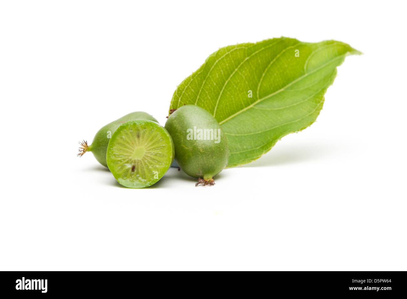 Kiwiberry con foglie Foto Stock