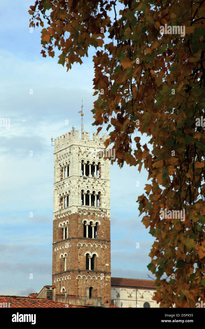 L'Italia,Toscana,Lucca, Duomo Torre campanaria Foto Stock