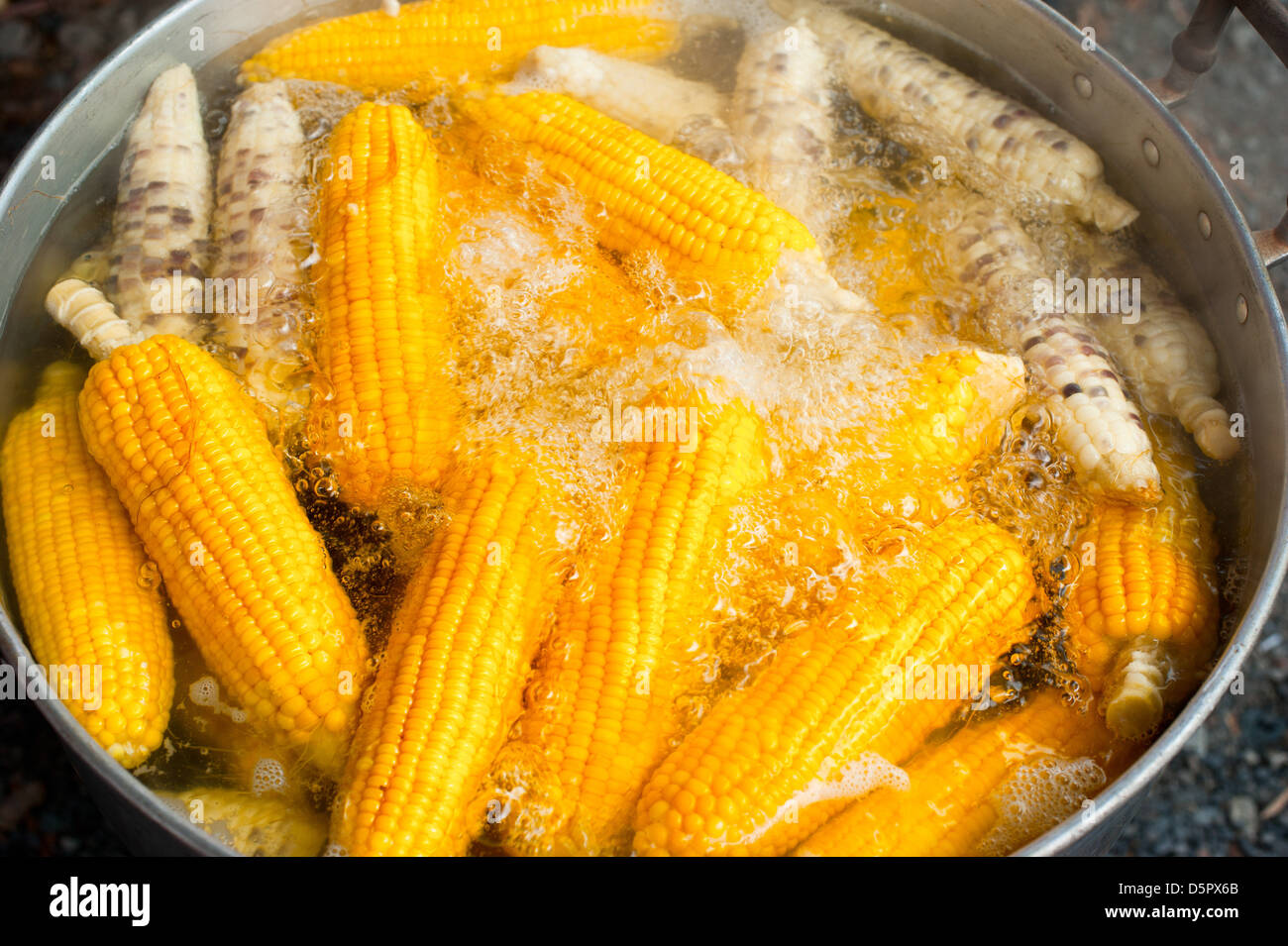 Orecchio di mais con punto di ebollizione nel pot al mercato all'aperto. Della Thailandia Foto Stock