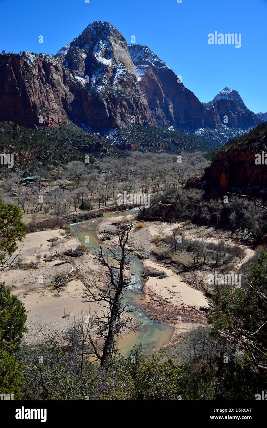 Il fiume vergine corre attraverso canyon Zion. Parco Nazionale di Zion, Utah, Stati Uniti d'America. Foto Stock