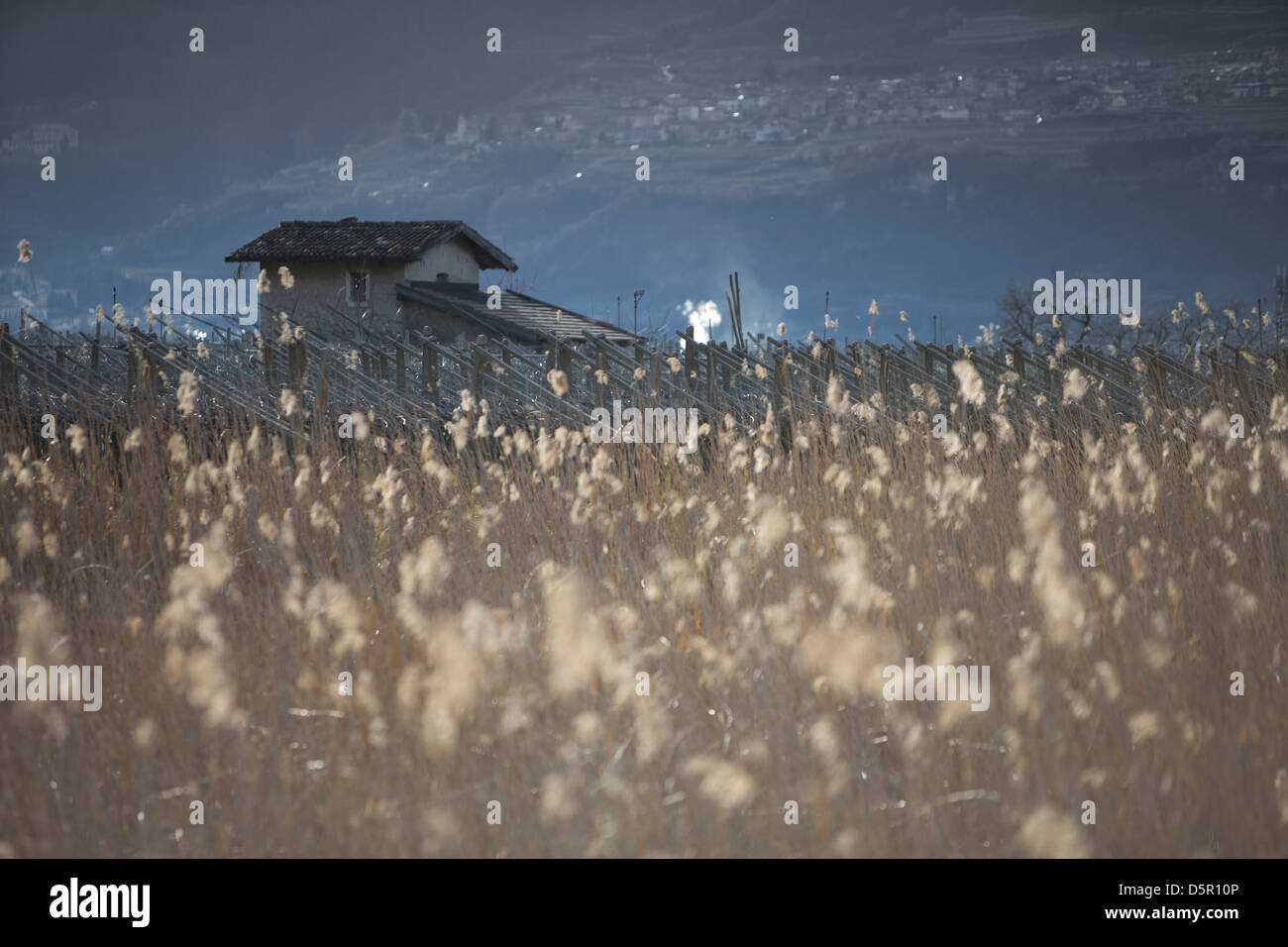 Casa rurale nel nord Italia. Foto Stock