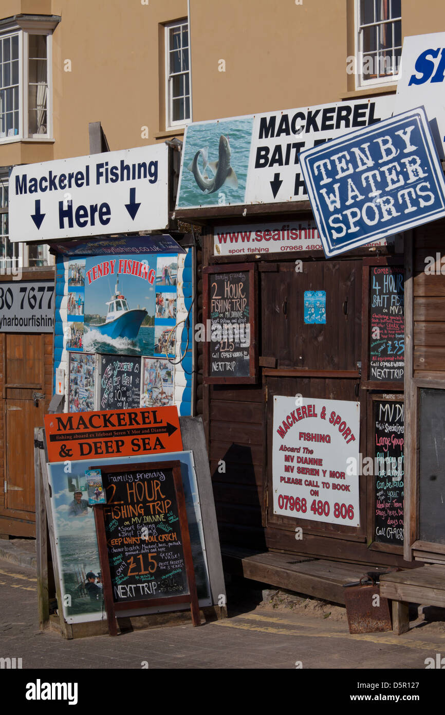 Gite in barca pubblicizzati su schede, tenby Harbour, Wales UK Foto Stock