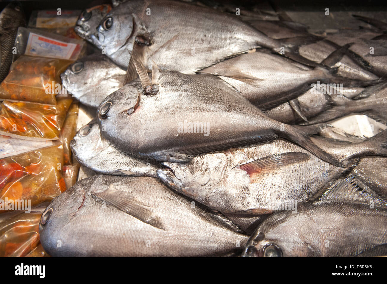 Mercado Central, uno del Cile il più grande pesce fresco mercati Santiago del Cile Foto Stock