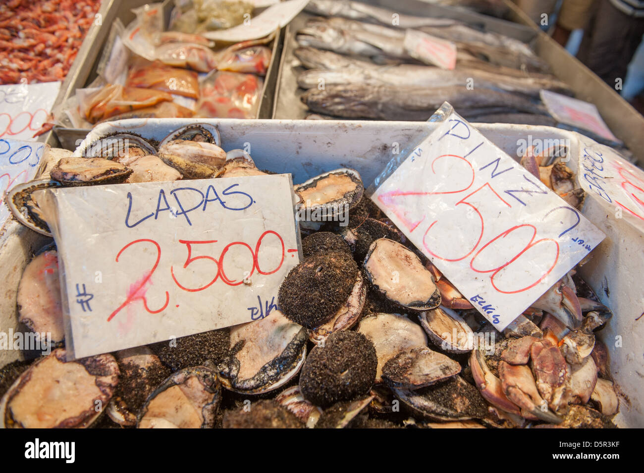 Mercado Central, uno del Cile il più grande pesce fresco mercati Santiago del Cile Foto Stock