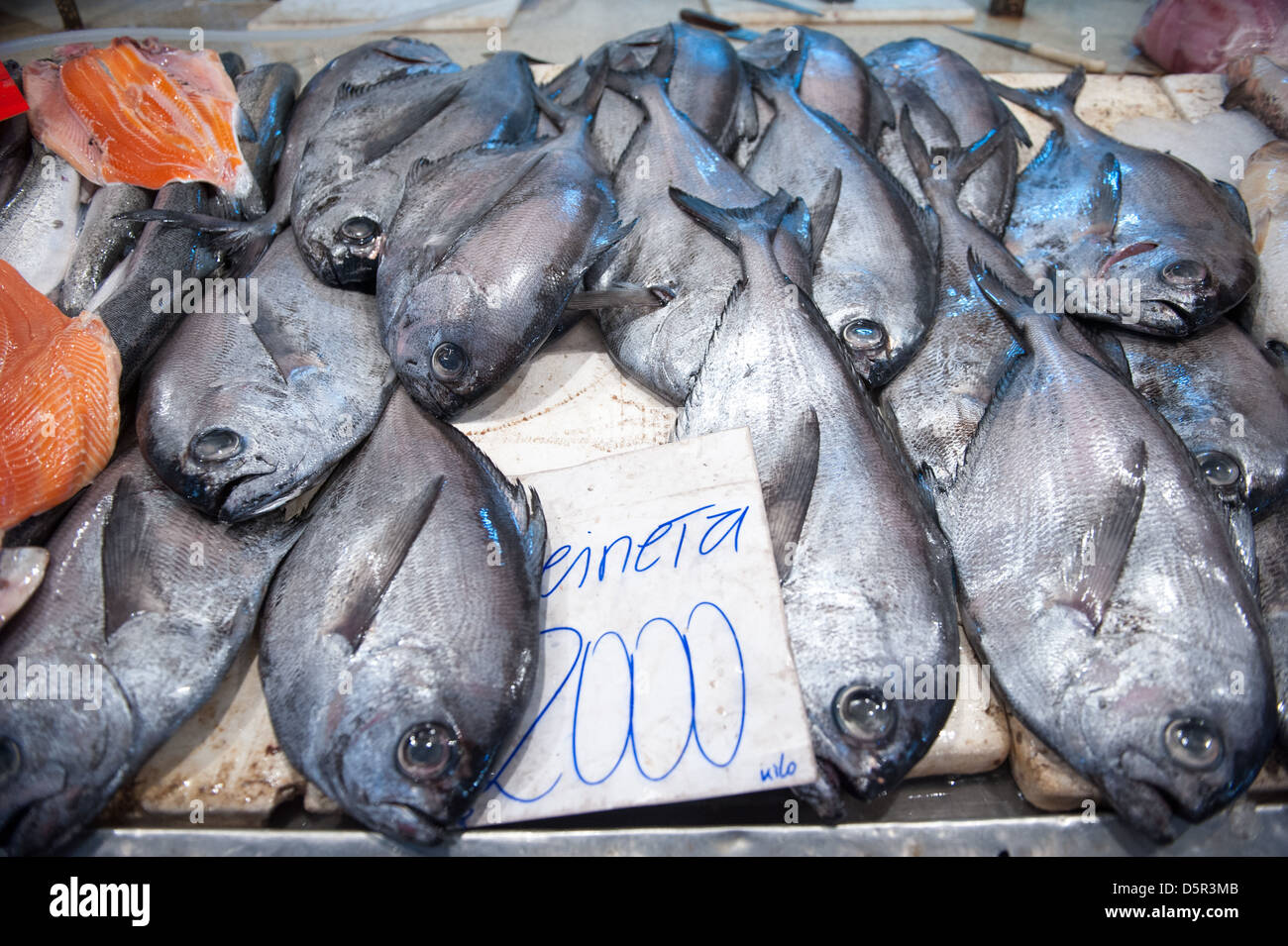 Mercado Central, uno del Cile il più grande pesce fresco mercati Santiago del Cile Foto Stock
